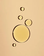 OSEA Body Moisturizing Duo - Undaria Algae™ Body Oil & Anti-Aging Body Balm