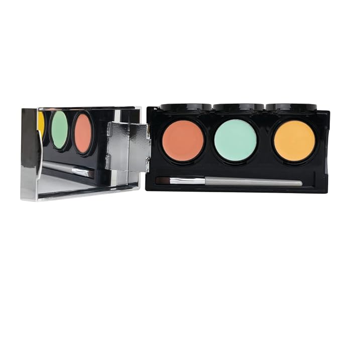 Dermaflage Color Correcting Palette, Color Corrector Concealer for Dark Circles, Redness, Bruises, Dark Spots, by Dermaflage 6.9g/.24oz