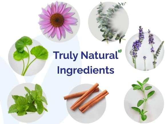 Natural Mouthwash Travel Size (2 oz) – Alcohol-Free Oral Rinse for Fresh Breath & Gum Health | Dentist Recommended Herbal Formula with Pure Essential Oils – Dental Herb Company Tooth & Gums Tonic