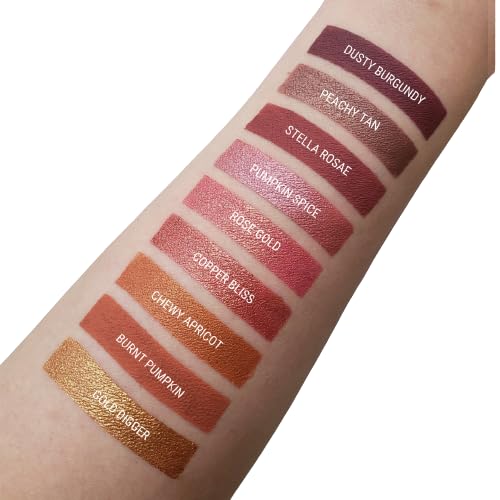 Aromi Matte Liquid Lipstick | Long-Lasting, Waterproof, Smear, Smudge + Transfer Proof, Nutmeg Orange Lip Color, Paraben, Phthalate, + Gluten Free (Burnt Pumpkin)