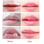 2 Pcs Honey Pot Lip Balm,