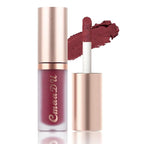 evpct 6Pcs Maroon Red Silky Velvet Matte Liquid Lipstick Lip Gloss Set for Women Long Lasting 24 Hours Color Stay Lipstick labiales matte larga duracion mate 24 horas originales 10#