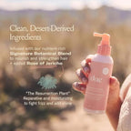 DAE Mirage Mist Leave-In Conditioner - Detangles, Conditions & Heat Protection (5 Oz.)