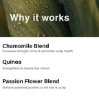 Eufora Moisture Solution Nourishing Conditioner 36 Fl.Oz