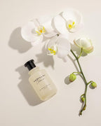 Michael Malul Vanilla + Crème Eau de Parfum Gift Set - 100ml | 10ml