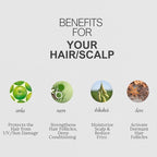 K C Scalp Detox & Hair Treatment Mask - Deep Conditioner for Dry Scalp & Damaged Hair – Scalp Care for Buildup, Flakes & Oil Control – All Hair/Scalp Types – Spa Grade Formula (FRESH)