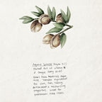 TRIUMPH & DISASTER Ponsonby Pomade – Medium Hold Hair Wax for Men and Women, High Shine, Non-Greasy Finish, 25g – Fine to Thick Hair