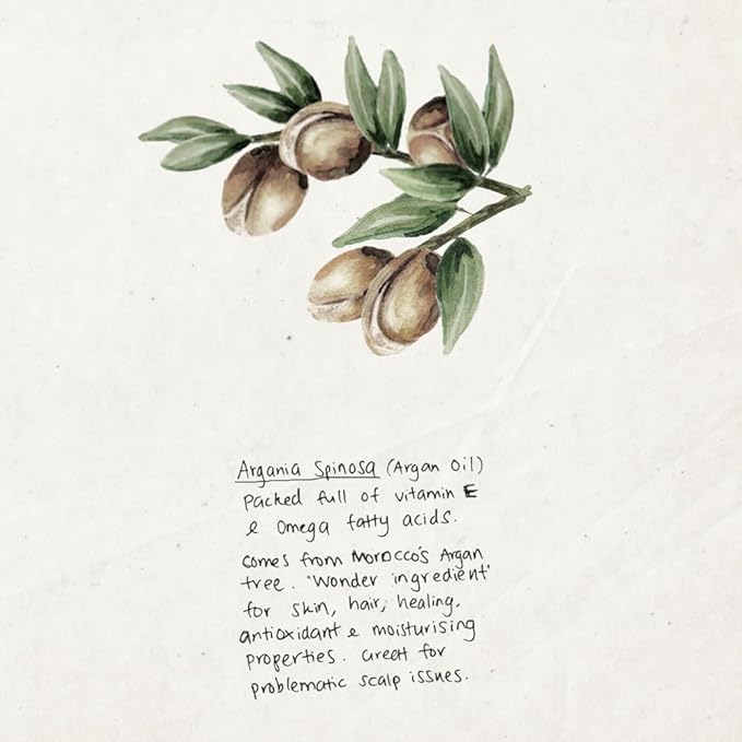 TRIUMPH & DISASTER Ponsonby Pomade – Medium Hold Hair Wax for Men and Women, High Shine, Non-Greasy Finish, 65g – Fine to Thick Hair