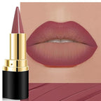 evpct Mauve Gradient Matte Lipstick Lip Liner Crayon Combo Pencil Set for Women Long Lasting Waterproof, Mauve Red Matte Cream Lip Liner and Lipstick Combo Makeup, Flawless Gradual Ombre Effect