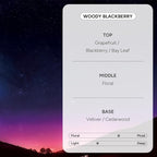 Korean Body Wash with Hyaluronic Acid & Aloe – Hydrating Moisturizing Cleanser for All Skin – Infused with Natural Extracts – Paraben & Silicone-Free – Woody Blackberry, 500ml / 16.9 fl oz