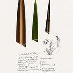 TRIUMPH & DISASTER Ponsonby Pomade – Medium Hold Hair Wax for Men and Women, High Shine, Non-Greasy Finish, 95g – Fine to Thick Hair