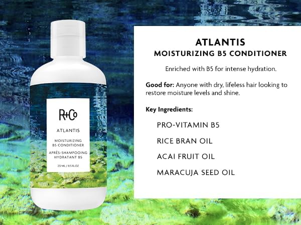 R+Co Atlantis Moisturizing B5 Shampoo & Conditioner Set | Deep Hydration & Repair for Dry Hair | Vegan + Cruelty-Free | 8.5oz (Pack of 2)