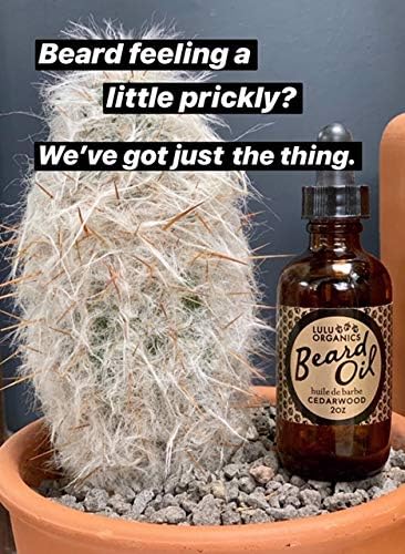 Argan Oil for Beard – Natural Moisturizer for Men, Supports Facial Hair Growth, Beard Oil for Men with Cade Berry Cedar Wood Scent, Softens Hair for a Healthy Groomed Look, 2oz Bottle