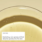 Evereden Golden Belly Serum, 1.7 fl oz. | Clean & Vegan Women's Belly Oil for Pregnancy and Postpartum | Clean Maternity Skincare | Non-Toxic Stretch Mark Oil