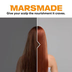 Ginger Shampoo Bar 2.0 - Hydrating & Moisturizing Natural Hair Soap for Hair Vitality & Scalp Nourishment - Solid Shampoo for All Hair Types (120g, 4.23oz)