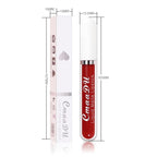 evpct 1Pcs Wine Red Liquid Matte Lipstick Lipgloss Set for Women, labiales mate 24 horas originales matte larga duracion 24 Hour Lipstick Lip Stains Long Lasting Waterproof 24, 17#