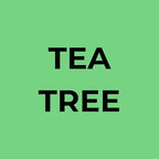 Soapbox Tea Tree Shampoo and Conditioner Set, Scalp Balancing with Tea Tree Oil, Jojoba Oil, Aloe and Shea Butter to Clean and Purify for All Hair Types, 1 Liter Each (Pack of 2)