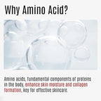 Amino AC-FREE Acne Control Facial Sheet Mask | AHAs, BHAs, Salicylic Acid, Snail Secretion, Chamomile | For Oily, Acne-Prone Skin, Reduces Blemishes (5 Sheets)