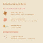 DAE Signature Duo Set (Shampoo & Conditioner)