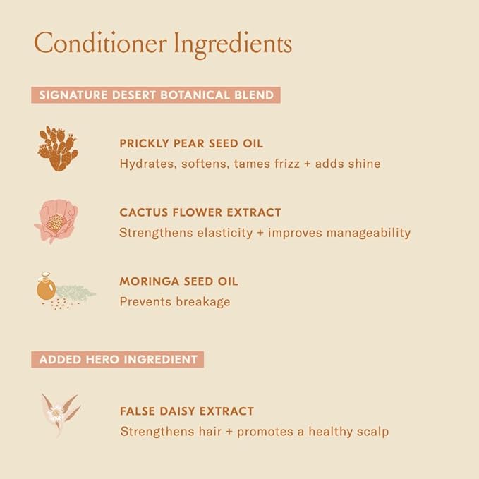 DAE Signature Duo Set (Shampoo & Conditioner)