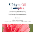 PETITFEE Sleeping Lip Mask Camelia Seed Oil 0.53 Oz. | Day & Night Repairing Balm, Overnight Lip Mask, Lip Treatment for Dull & Dry Lip, Deep Nourishing with Vitamin E, 5 Phyto Oil Complex