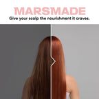 Rosemary Shampoo Bar 2.0 - Hydrating & Moisturizing Natural Hair Soap Bar Shampoo for Hair Volume & Scalp Nourishment - Bathing Soap Solid Shampoo for All Hair Types (120g, 4.23oz)