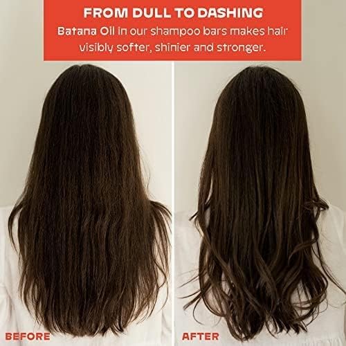 NOLE CARE Sustainable Bar Shampoo with Citrus & Batana Oil, for Oily Hair (3 oz) - PH Balanced, Rice Protein Based, Clarifying Shampoo, Sulfate-Free, Plastic-Free