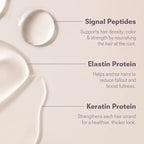 NULASTIN Solution Serum System - Lash Serum (0.1 Fl Oz), Scalp Treatment (1.7 Oz) + Brow Serum (0.1 Fl Oz) - Travel Gift Set for Fuller Lashes, Thicker Hair & Defined Brows (3 Count)