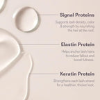 NULASTIN Follicle Fortifying Lash Serum - Clinically Tested Eyelash Enhancing Serum - Nourishes & Repairs to Promote Longer-Looking Lashes - Enriched with Hair-Strengthening Ingredients (0.1 Fl Oz)