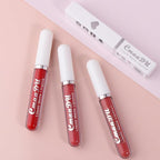 evpct 1Pcs Bright Sexy Red Liquid Matte Lipstick Lipgloss Set for Women, labiales mate 24 horas originales matte larga duracion 24 Hour Lipstick Lip Stains Long Lasting Waterproof 24, 14#