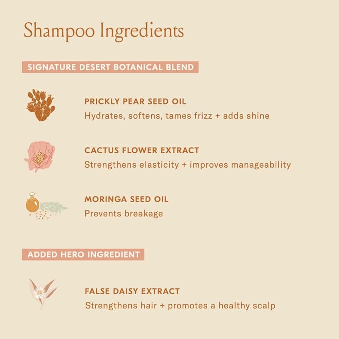 DAE Signature Duo Set (Shampoo & Conditioner)