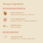 DAE Signature Shampoo - Cleanses & Hydrates Dry Hair & Scalp (32 oz.)