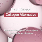 PRIMERA Retinol Serum Bare + Sky Coral | Tinted Hydrating Oil & Stain with Collagen for Moisturizing Care, Korean Tint, 0.24 oz / 7g, Holiday Gift Set & Stocking Stuffer