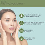 PURA D'OR 16 Oz ORGANIC Avocado Oil - 100% Pure & Natural USDA Certified Cold Pressed Carrier Oil For DIY Beauty, Non-Greasy, Unscented, Hexane Free Liquid Moisturizer - Face Skin & Hair - Men & Women