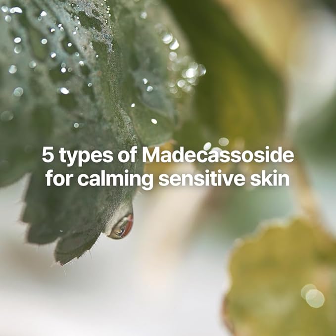 Pyunkang Yul Calming Line Gift Box Set-Korean Facial Skin Care Essential for Daily Moisturizing with Toner, Serum, Cream, Vegan & Cruelty Free