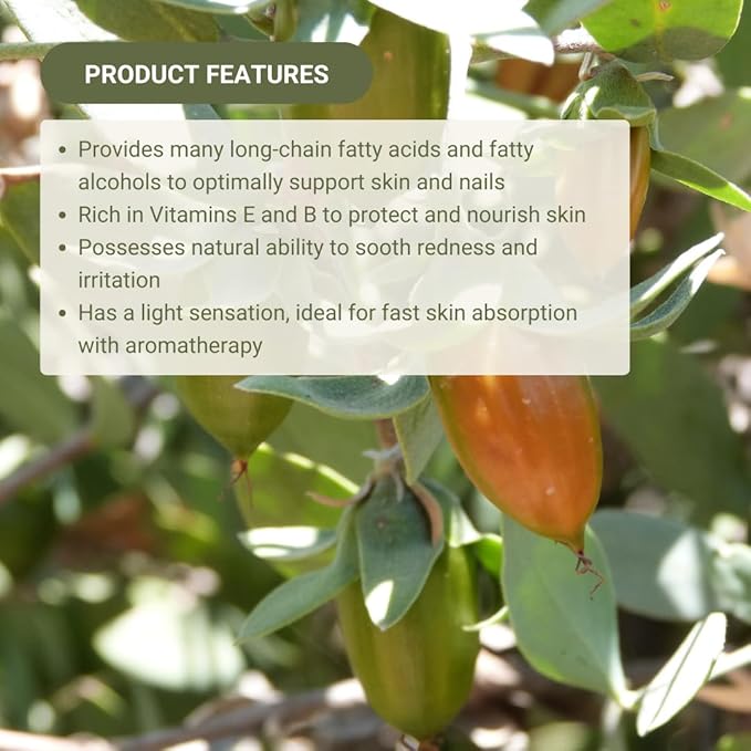 Jojoba Oil - Direct from EIR Oils' Farm in Israel - 100% Pure Carrier Oil for Hair, Face, and Skin - Hand-Picked, Cold-Pressed Carrier Oil (16oz)