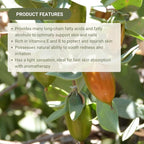 Jojoba Oil - Direct from EIR Oils' Farm in Israel - 100% Pure Carrier Oil for Hair, Face, and Skin - Hand-Picked, Cold-Pressed Carrier Oil (16oz)