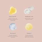 Jouer Essential High Coverage Liquid Concealer - Brightening Concealer - Color Corrector for Under Eye Dark Circles, Spot Coverage, and Eye Primer - Soft Matte Finish, Macaron