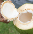 Fractionated Coconut Oil - Sourced Directly from our Farm Partner in the Philippines - Carrier Oil for Diluting Essential Oils, Body, Hair, and Skin Moisturizer - (1Gallon)