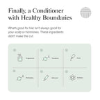 Dermazen Nourishing Conditioner | Hydrates, Smooths & Enhances Scalp Health | Dandruff & Seborrheic Dermatitis Safe | Frizz-Free Shine with MCT & Rosemary Essential Oil | For All Hair Types | 8 fl oz