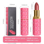 evpct 1Pcs Sweet Pink Lipstick, Silky Velvet Matte Lipstick Pack Sets for Women, Long Lasting Smudge Proof Lipstick Lip Stain Makeup Kit matte lipstick 24 hours original P02