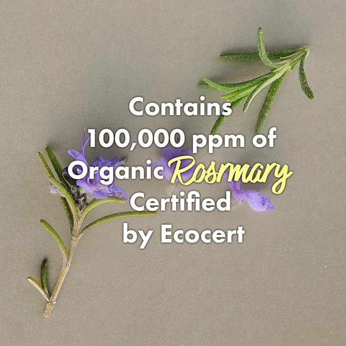 RATED GREEN Rosemary Balancing Scalp Pack | Organic Cold Brewed Charcoal | 2-in-1 Detoxifying Hair Mask for Flaky, Oly Scalp & Hair | Silicone-Free, Korean Hair Care | 1.69 fl oz (Pack of 5)