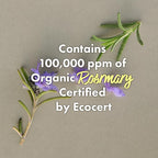 RATED GREEN Rosemary Balancing Scalp Pack | Organic Cold Brewed Charcoal | 2-in-1 Detoxifying Hair Mask for Flaky, Oly Scalp & Hair | Silicone-Free, Korean Hair Care | 1.69 fl oz (Pack of 5)