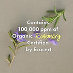 RATED GREEN Rosemary Balancing Scalp Pack | Organic Cold Brewed Charcoal | 2-in-1 Detoxifying Hair Mask for Flaky, Oly Scalp & Hair | Silicone-Free, Korean Hair Care | 6.76 Fl. Oz