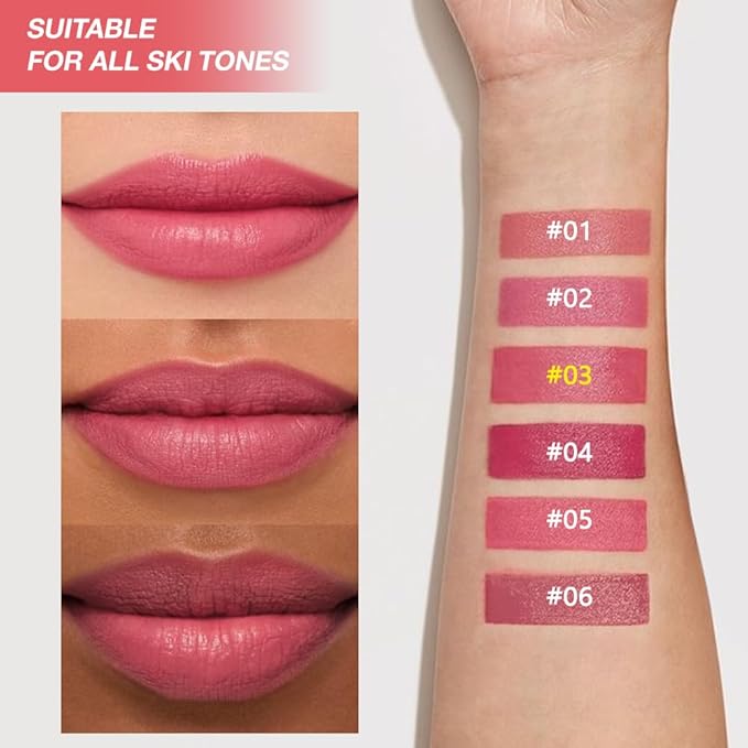 Coral Orange Red Matte Lipstick Crayon for Women, Long Lasting Waterproof Velvet Lip Liner Pencil, High Pigment Creamy Lipstick, Longwear Non-Drying Lip Makeup Cruelty-free 24 Hours, 03#