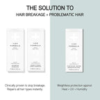 ILES FORMULA Moisturizing Shampoo & Conditioner Set for Dry, Damaged & Frizzy Hair - Sulfate Free Shampoo & Conditioner – Salon Grade, Color Safe, Hydrating Formulas to Control Humidity (200mL)