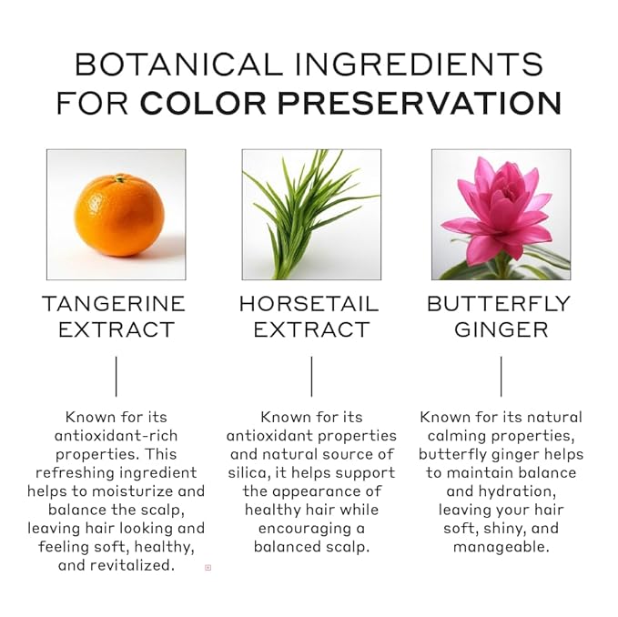 ZENAGEN Eclipse Color Preservation + Gray Support Conditioner | Enhances Hair Color Vibrancy, Reduces Gray Appearance, Nourishes & Strengthens Aging Hair, Plant-Based, Color-Safe, 6.75 oz