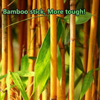 2400pcs Precision Tip Cotton Swabs for Makeup, Bamboo Sticks and Double Pointed