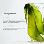 BIODANCE Soothing & Renewal Duo: Sea Kelp & Caviar PDRN Real Deep Overnight Gel Mask for Glass Skin, Korean Skincare Gift Set, Christmas Gift Stocking Stuffers