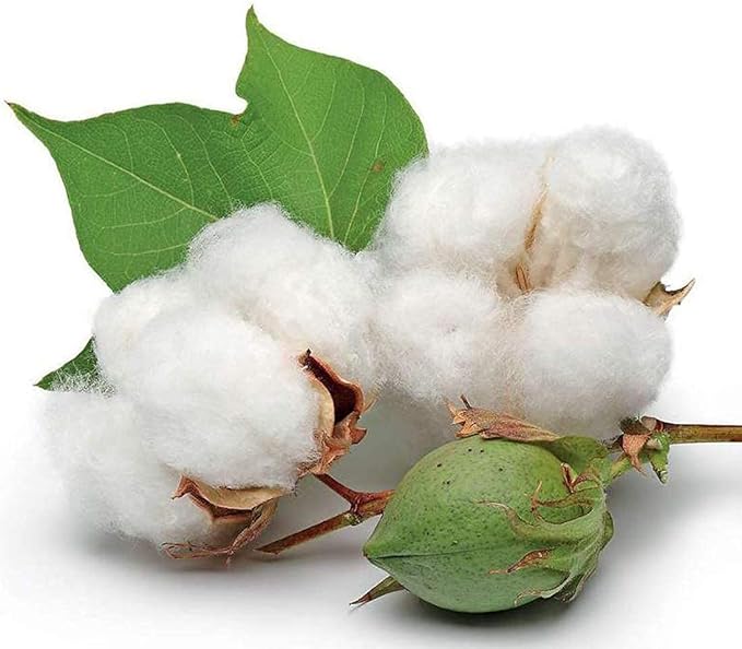 2000 pcs 4 Inch Pointed Cotton Swabs Precision Microblading Cotton Tipped